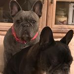 Susan Hocking - @hocking930 - Instagram