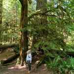 Susan Hocking - @susanhockingis - Instagram