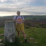 Susan Hocking - @susanhocking - Instagram