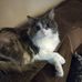 Susan Hoffer - Facebook