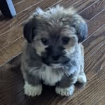 Susan Hoffer - @susanhoffer_ - Instagram