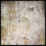 Susan Honig - @womanjankino - Instagram