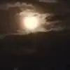 Susanne Thonig - @susanne.thonig - TikTok