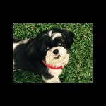 Susan Hooks - @ladybuglilly2 - Instagram