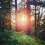 Susan Hooks - @susanhopehooks - Instagram