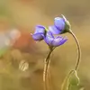 susanshooks65724 - @susanshooks65724 - TikTok