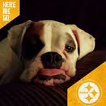 Susan Houdeshell - @susanhoudeshell - Instagram