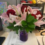 Susan Mulert-Housewright - @susanhousewright - Instagram
