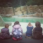 Susan Howarth - @susan.newlife - Instagram