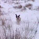 Susan Howarth - @peterhowarth873 - Instagram