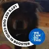 Susan Howarth - @susan.howarth0 - TikTok
