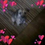 Susan Howarth - @howarth1240 - Instagram
