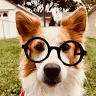 Susan Howey - @susanhowey - TikTok