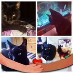 Susan Hubble - @susanhubble47 - Instagram