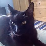 Susan Hubble - @susan.hubble - Instagram