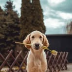 Susan Huggins - Facebook