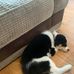 Susan Hulse - Facebook