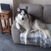 Susan Hulse - Facebook