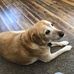 Susan Hulse - Facebook