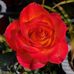 Susan Hutton - Facebook