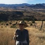 Susan Ingle Appleton - @susaningleappleton - Instagram