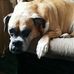 Susan Ingles - Facebook