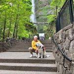 Susan Washburn-Ingles - @swingles2019 - Instagram