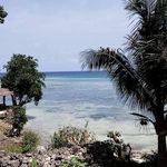 Susan Ingram - @susan.ingram.79827 - Instagram