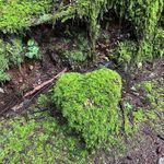 Susan Ingram - @sming.ram - Instagram
