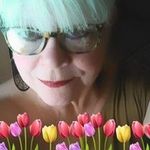 Susan Ingram Heil - @susaningramheilusa - Instagram