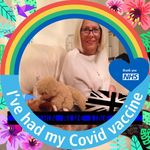 Susan Ingram Stranders - @susiecue62 - Instagram