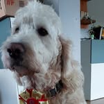 Susanne Iwansky - @susanneiwansky - Instagram