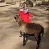 susanneiwanski - @susanneiwanski - TikTok