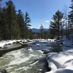 Susan Cannizzo - @susancannizzophotography - Instagram