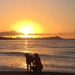 Susan Hoff Jaffey - @susanhoffjaffey - Instagram