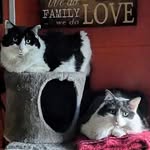 Susan Jaffe Messer - @eyesforyou24 - Instagram