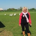 Susan James - @demidaysue - Instagram