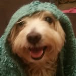 Nalani Kehau - @susanjayemiller - Instagram