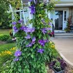Sue Kaplan - @susanjayekaplan - Instagram