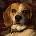 Susan Toll Jeffcoat - Facebook