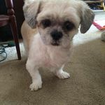Susan Jeffrey - @jeffrey.susan - Instagram