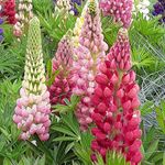 Susan Jeffrey - @susan.jeffrey.58 - Instagram