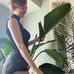 Susan Jeffrey - Facebook