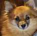 Susan Jemison - Facebook