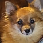 Susan Jemison - @susanjemison07 - Instagram