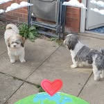 Susan Jenkinson - @susan_jenkinson - Instagram