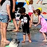 Susan Foster Jessee-Ferguson - @groomersue - Instagram