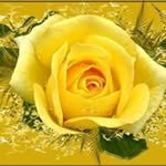 susan jobe1957@ gmail.co - @jobe1957 - Instagram