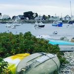 Susan Jobe - @jobe6955 - Instagram