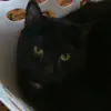 susanjoosten888 - @susanjoosten888 - TikTok
